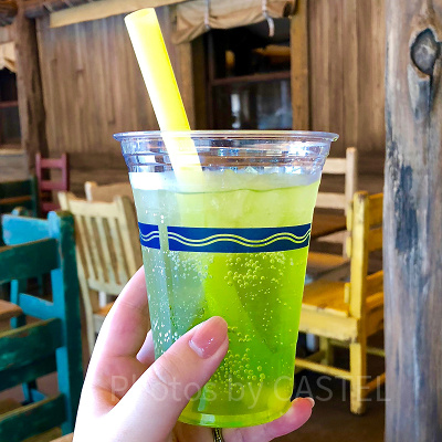 ディズニーランドでお酒が解禁に