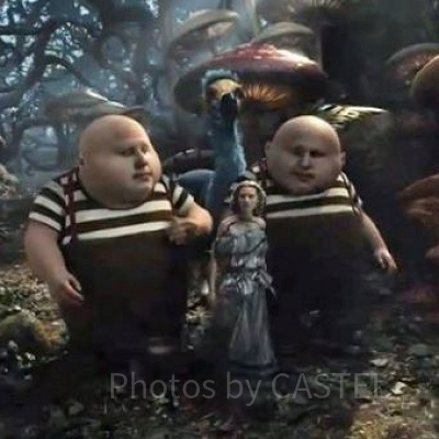 「アリス・イン・ワンダーランド」トゥイードルダムとトゥイードルディー