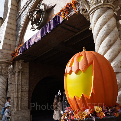 ディズニーシー10月混雑レポ