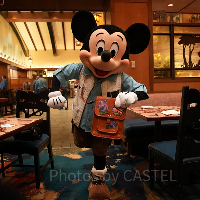 カリフォルニアアナハイムディズニー：春の気候・天気