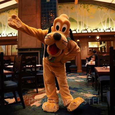 カリフォルニアアナハイムディズニー：夏の気候・天気