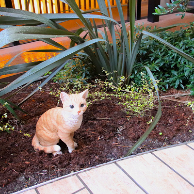 どうぶつビンゴ