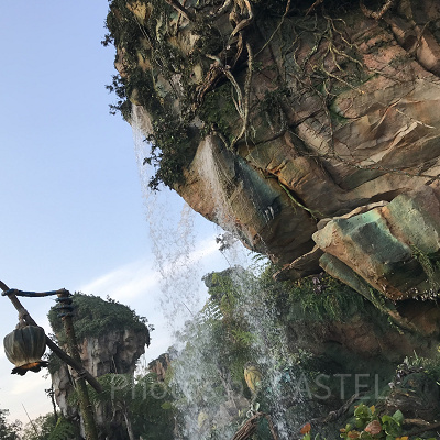 アニマルキングダム　アバターエリア