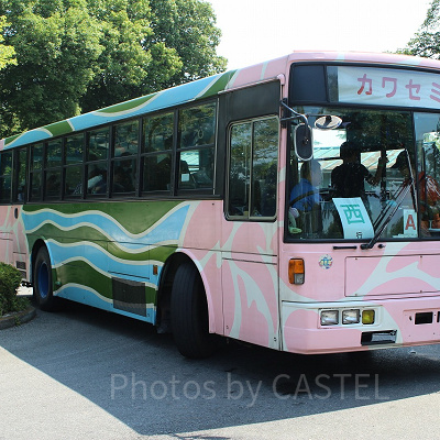 東西ゲートを結ぶバス、アニ丸ブーブー