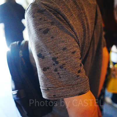 アナとエルサのフローズンジャーニー乗車後の服