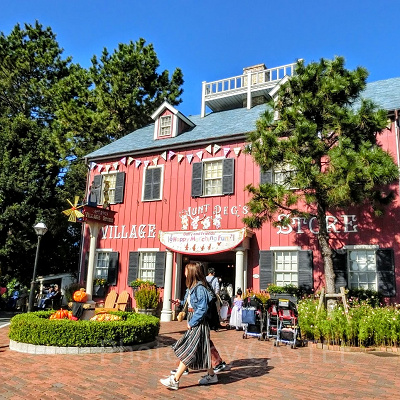 アーント・ぺグズ・ヴィレッジストア