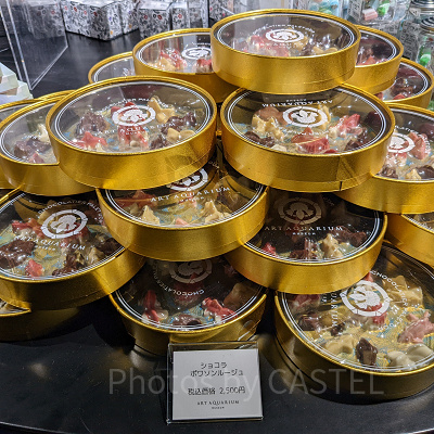 アートアクアリウム銀座　ショコラポワソンルージュ