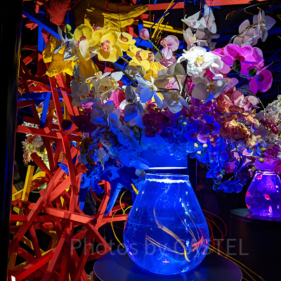 アートアクアリウム銀座　金魚花瓶