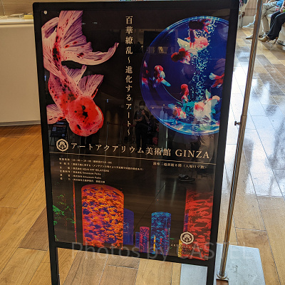 アートアクアリウム銀座　看板