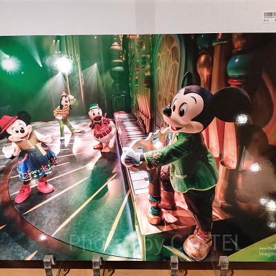 ディズニーイマジニングザマジックグッズ：アートパネル