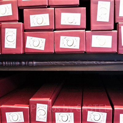 セイヨウトネリコの杖