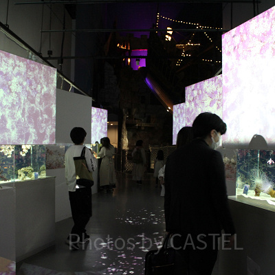 アトリウムエリア「カラーズ」