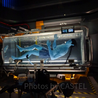 ナヴィと人間のDNAを組み合わせ作られた「アバター」