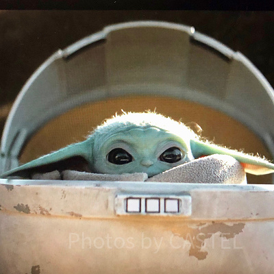 ベビーヨーダ（ザ・チャイルド）