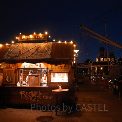 バーナクル・ビルズ