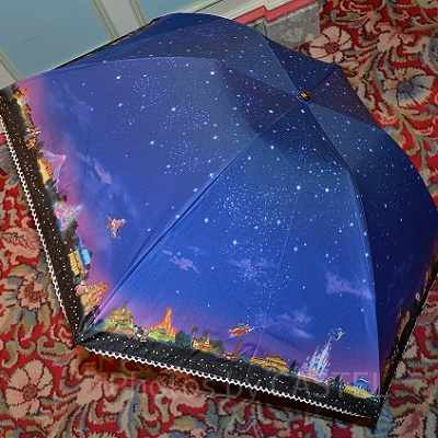 パークで販売されているすてきなデザインの傘