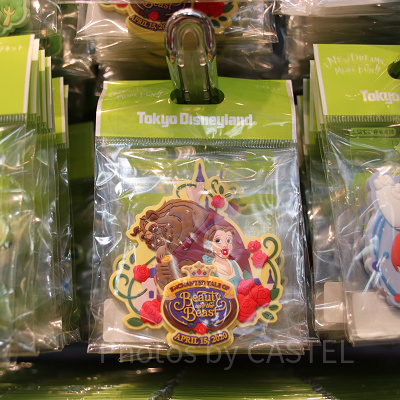 美女と野獣“魔法のものがたり”デコレーションマグネット