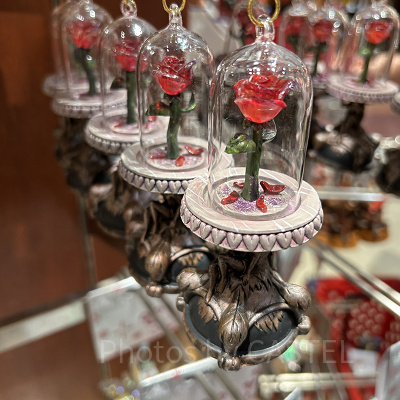 オーナメント：美女と野獣 バラ