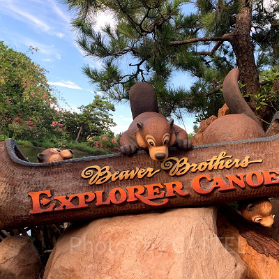 ビーバーブラザーズ