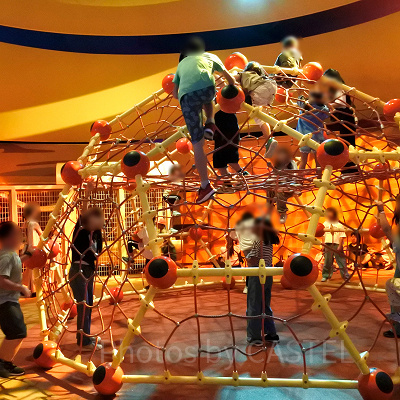 ビッグバードのビッグ・ネスト