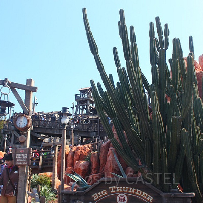 ビッグサンダー・マウンテン