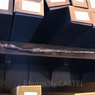 カバノキ（12/24～1/20）