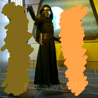 カイロ・レンもベイダー卿も待機列がガラガラでヒマそうでした