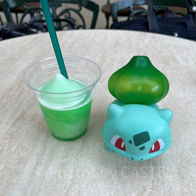 フシギダネ・ソフローズン～メロン～