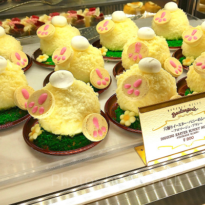 穴掘りイースター・バニーのムース