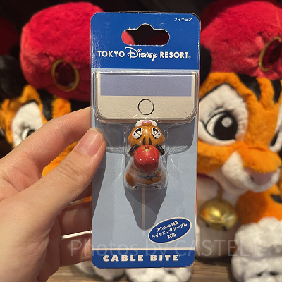 ケーブルバイト　チャンドゥ