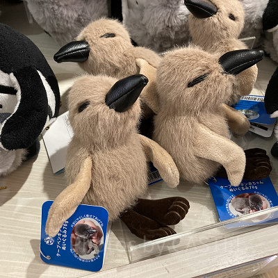 ケープペンギンの赤ちゃんぬいぐるみ