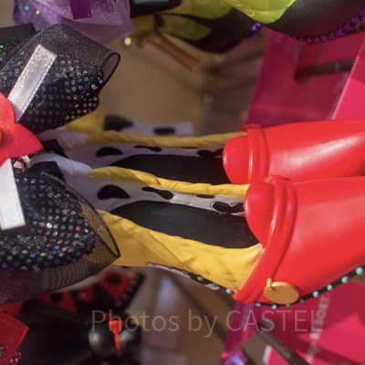 ディセンダントのカルロス