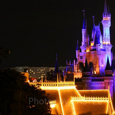 キャステルアンケート