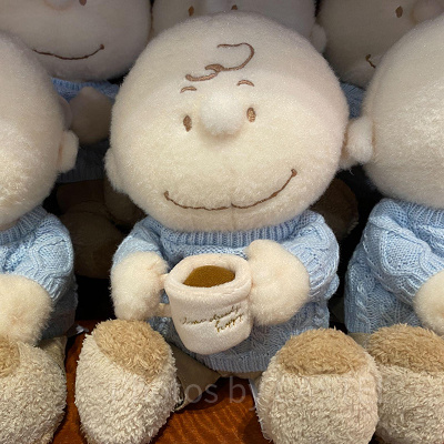 チャーリー・ブラウンのぬいぐるみ
