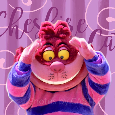 チェシャ猫グッズ