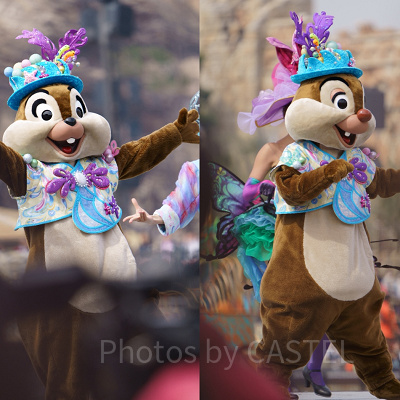 チップとデール（お着替え前）