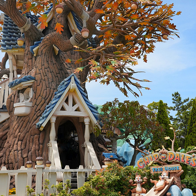 チップとデールのツリーハウス