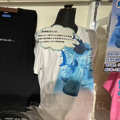 美ら海水族館「黒潮の海」Tシャツ