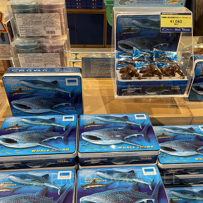 美ら海水族館OEMシャークチョコレート