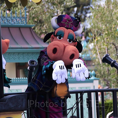  パレードに登場するクララベル・カウ