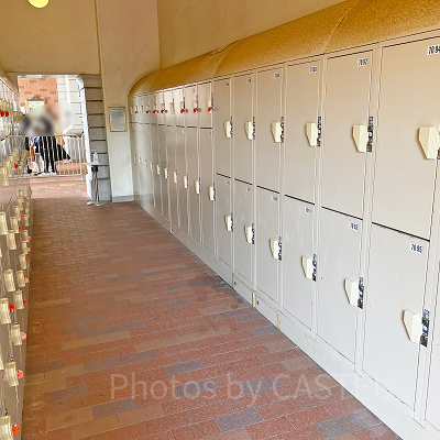 東京ディズニーリゾートのベビーカーを預けることができるコインロッカー