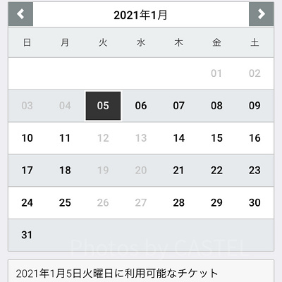 コンボ1DAYパスポート購入画面（アプリ）