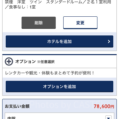 選択内容の確認（ANA）