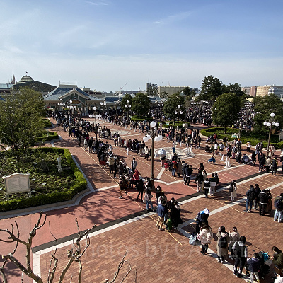 ディズニーランドの混雑の様子