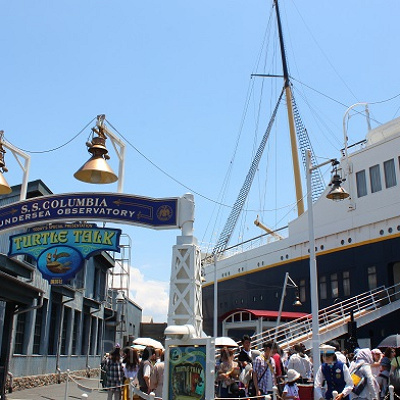 タートル・トークの混雑具合