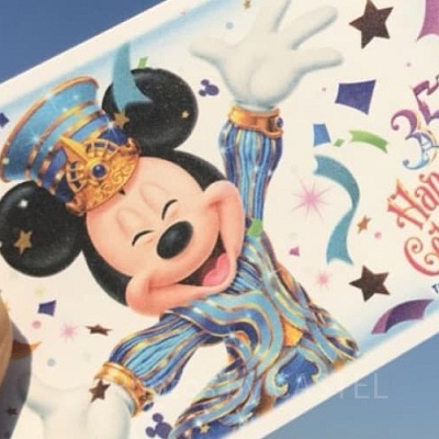 オリエンタルランドの株主用パスポートの内容と使い方