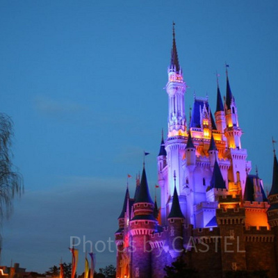 カップルディズニー