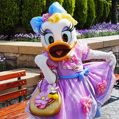 デイジーダック