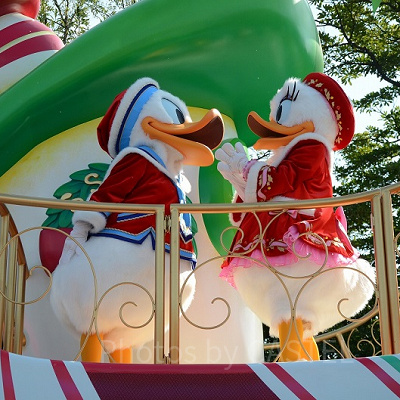 デイジークイズまとめ