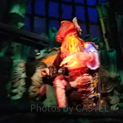 デイヴィ・ジョーンズ：ビル・ナイ（吹き替えキャスト：大塚芳忠）